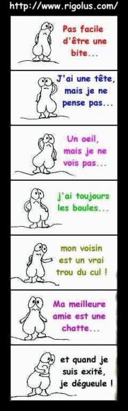 la vi dune bitte