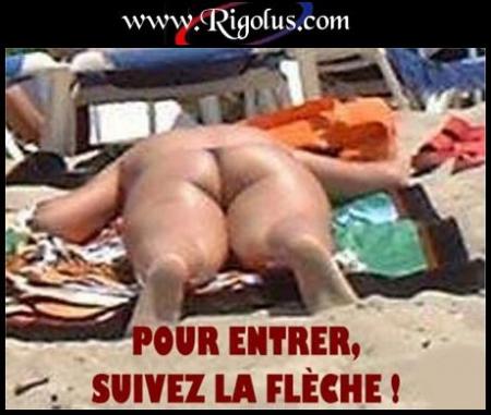 la flèche