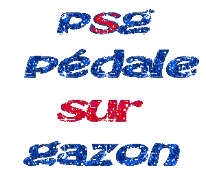  sa c bi1 vré